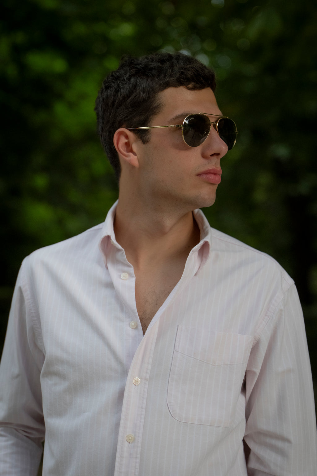 q-aviaris